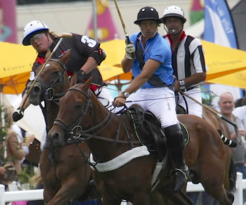 British Polo Top