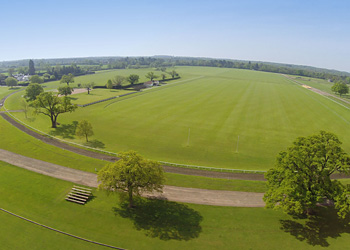 British Polo Day Image