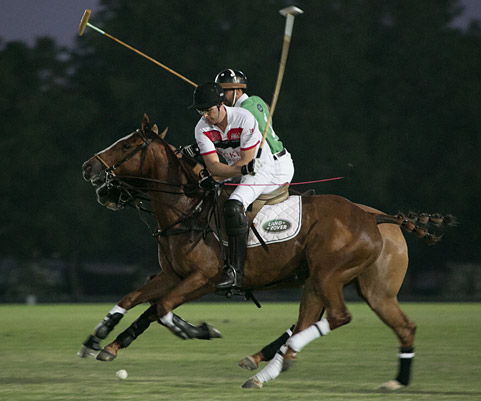 British Polo Top