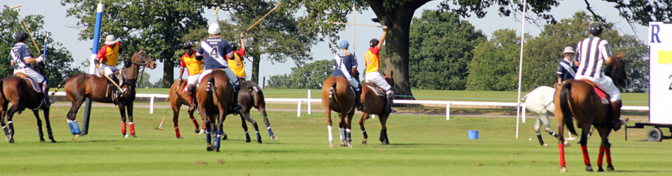 Royal County of Berkshire Polo Club Cases: Cassabo.com